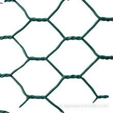 Zeshoekige draadgaas/net voor kippengalevisie